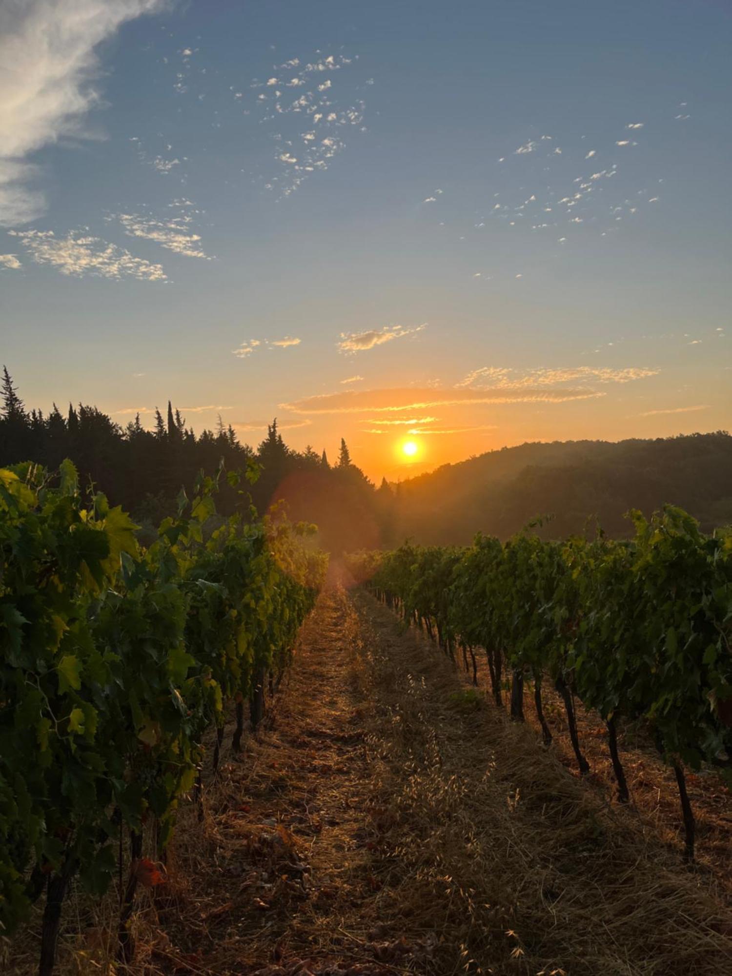 Il Villino Farmhouse Castellina in Chianti Dış mekan fotoğraf